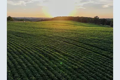 40.22� Acres Stump Ridge Road, Viroqua, WI 54665 - Photo 1
