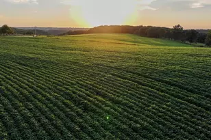 40 22� Acres Stump Ridge Rd, Viroqua, WI 54665 - Photo 1