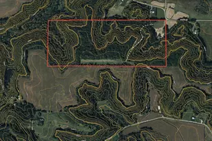 W8299 Suldal Rd, Mauston, WI 53948 - Photo 65