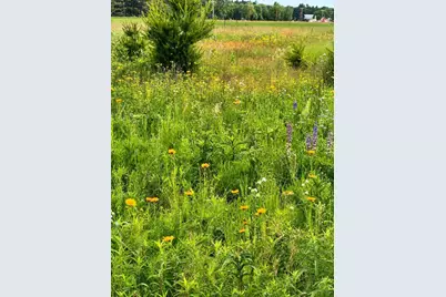 28720 County Highway Et, Tomah, WI 54660 - Photo 65