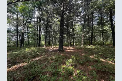 W968 Dover Road, Neshkoro, WI 54960 - Photo 25