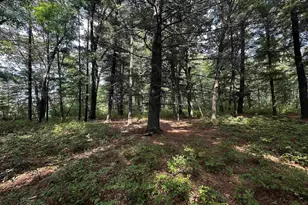 W968 Dover Rd, Neshkoro, WI 54960 - Photo 25