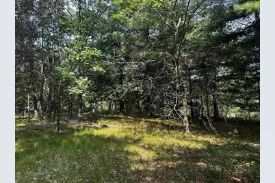 W968 Dover Road, Neshkoro, WI 54960 - Photo 27
