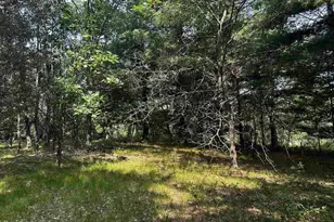 W968 Dover Rd, Neshkoro, WI 54960 - Photo 27