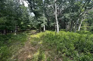 W968 Dover Rd, Neshkoro, WI 54960 - Photo 23