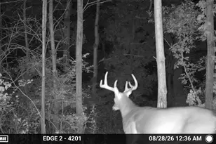 53951 Rounds Rd, Utica, WI 54631 - Photo 35