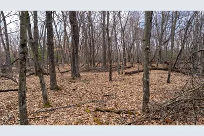 Lots 3-4 Dover Drive, Adams, WI 53910 - Photo 39