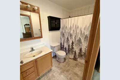 411 David Circle, Arena, WI 53503 - Photo 29