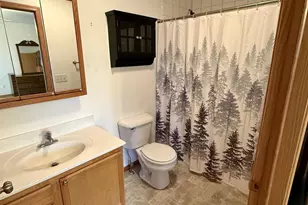 411 David Cir, Arena, WI 53503 - Photo 29