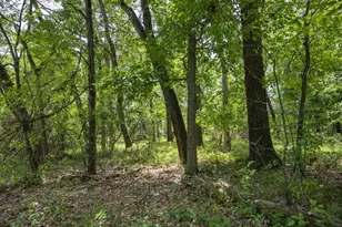 N5881 State Road 58, New Lisbon, WI 53950 - Photo 51