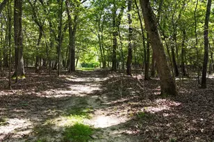 N2014 13th Rd, Montello, WI 53949 - Photo 11