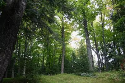 12279 Stangle Road, Butternut, WI 54514 - Photo 25
