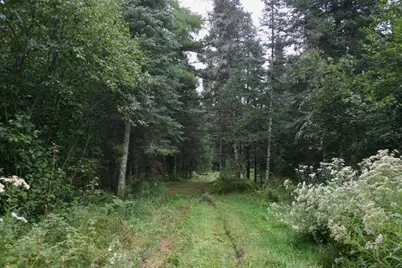 12279 Stangle Road, Butternut, WI 54514 - Photo 23