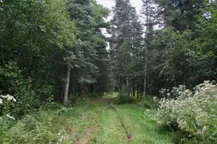 12279 Stangle Rd, Butternut, WI 54514 - Photo 23