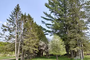 12279 Stangle Rd, Butternut, WI 54514 - Photo 3