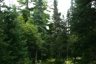 12279 Stangle Rd, Butternut, WI 54514 - Photo 21