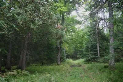 12279 Stangle Road, Butternut, WI 54514 - Photo 27