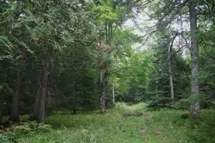 12279 Stangle Rd, Butternut, WI 54514 - Photo 27