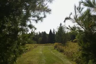 12279 Stangle Rd, Butternut, WI 54514 - Photo 17