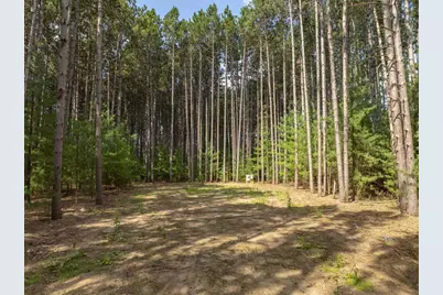 3673 Scotch Court, Dell Prairie, WI 53965 - Photo 13