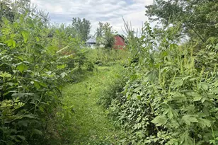 33412 County Road F, Blue River, WI 53573 - Photo 31