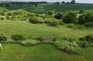 Lot 28 Hwy 39, Blanchardville, WI 53574 - Photo 9