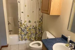 307 Jarvis St, Ridgeway, WI 53582 - Photo 25