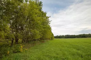 W7264 County Rd E, Westfield, WI 53964 - Photo 1