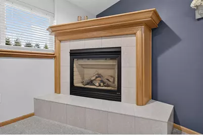 113 Terrace Court, Mount Horeb, WI 53572 - Photo 29