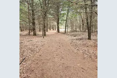 Lot 1 Woodland Avenue, Montello, WI 53949 - Photo 7