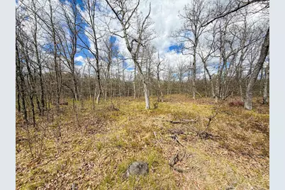 650 Cypress Avenue, Friendship, WI 53934 - Photo 45