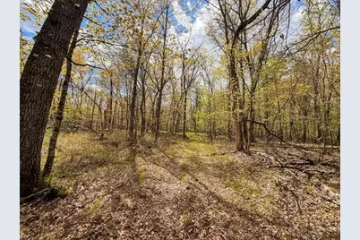 650 Cypress Avenue, Friendship, WI 53934 - Photo 55