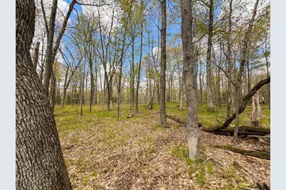 650 Cypress Avenue, Friendship, WI 53934 - Photo 25