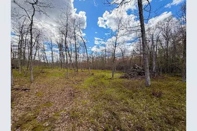 650 Cypress Avenue, Friendship, WI 53934 - Photo 71