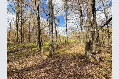 650 Cypress Avenue, Friendship, WI 53934 - Photo 53