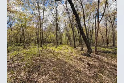 650 Cypress Avenue, Friendship, WI 53934 - Photo 51