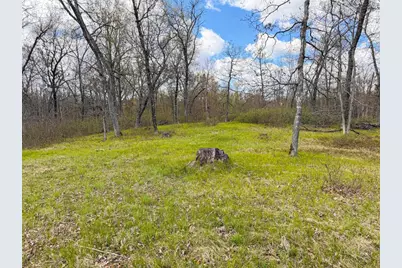 650 Cypress Avenue, Friendship, WI 53934 - Photo 69