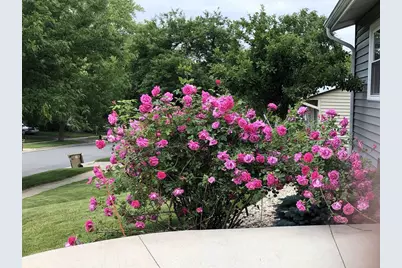 2513 Sara Road, Madison, WI 53711 - Photo 3