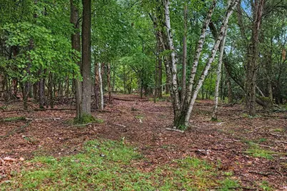 N7577 19th Road, Neshkoro, WI 54960 - Photo 69