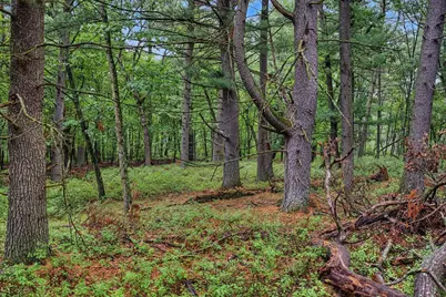 N7577 19th Road, Neshkoro, WI 54960 - Photo 55