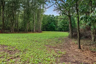 N7577 19th Road, Neshkoro, WI 54960 - Photo 43