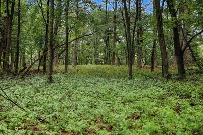 N7577 19th Road, Neshkoro, WI 54960 - Photo 67