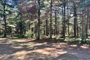 1086 Chicago Ln, Friendship, WI 53934 - Photo 41