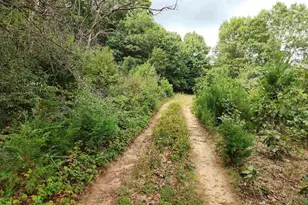 N8002 Ashley Rd Rd, Portage, WI 53901 - Photo 15