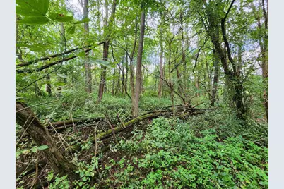 N8002 Ashley Rd. Road, Portage, WI 53901 - Photo 29