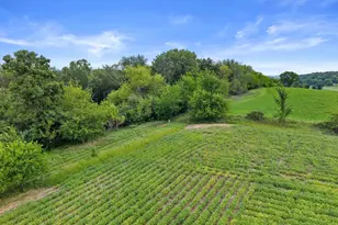 N3810 Scheppert Rd, Fort Atkinson, WI 53538 - Photo 43