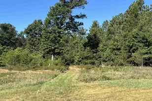 1053 Hwy 13, Arkdale, WI 54613 - Photo 13