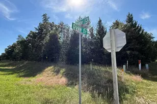 1309 Dyke Dr, Adams, WI 53910 - Photo 29