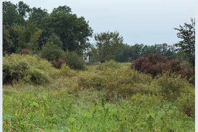 40 Ac W 23rd Street, Necedah, WI 54646 - Photo 7