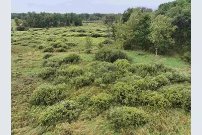 40 Ac W 23rd Street, Necedah, WI 54646 - Photo 17